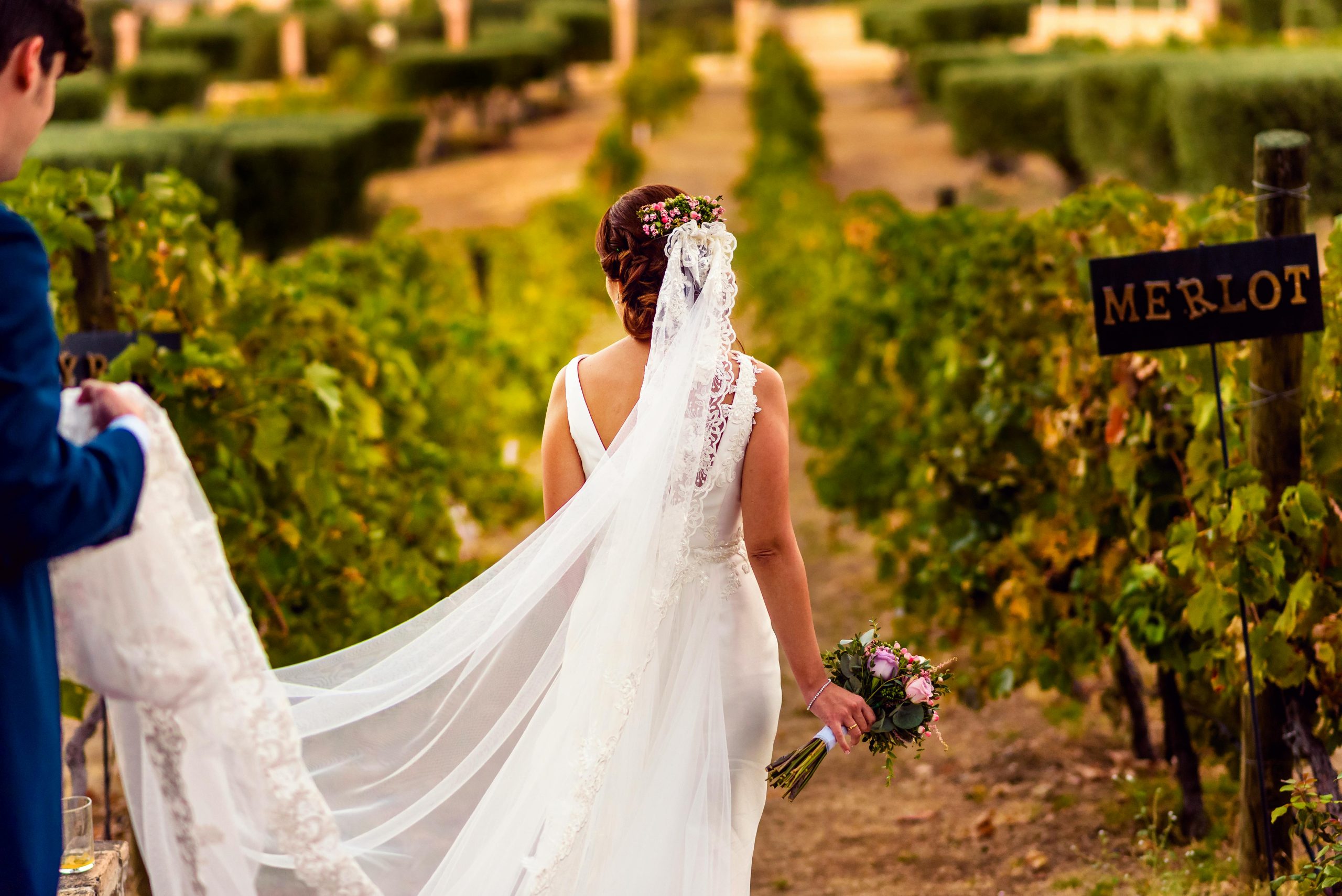 Vineyard Wedding