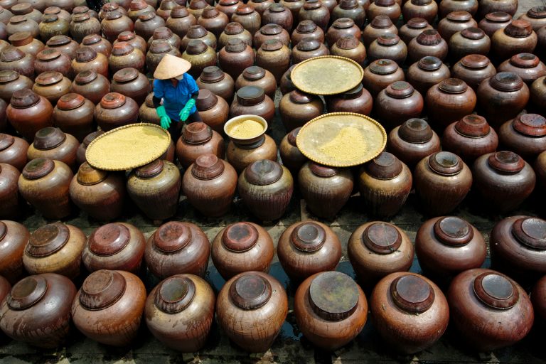 What You Need to Know About Rice Wine - The Little Cellar Wine Company