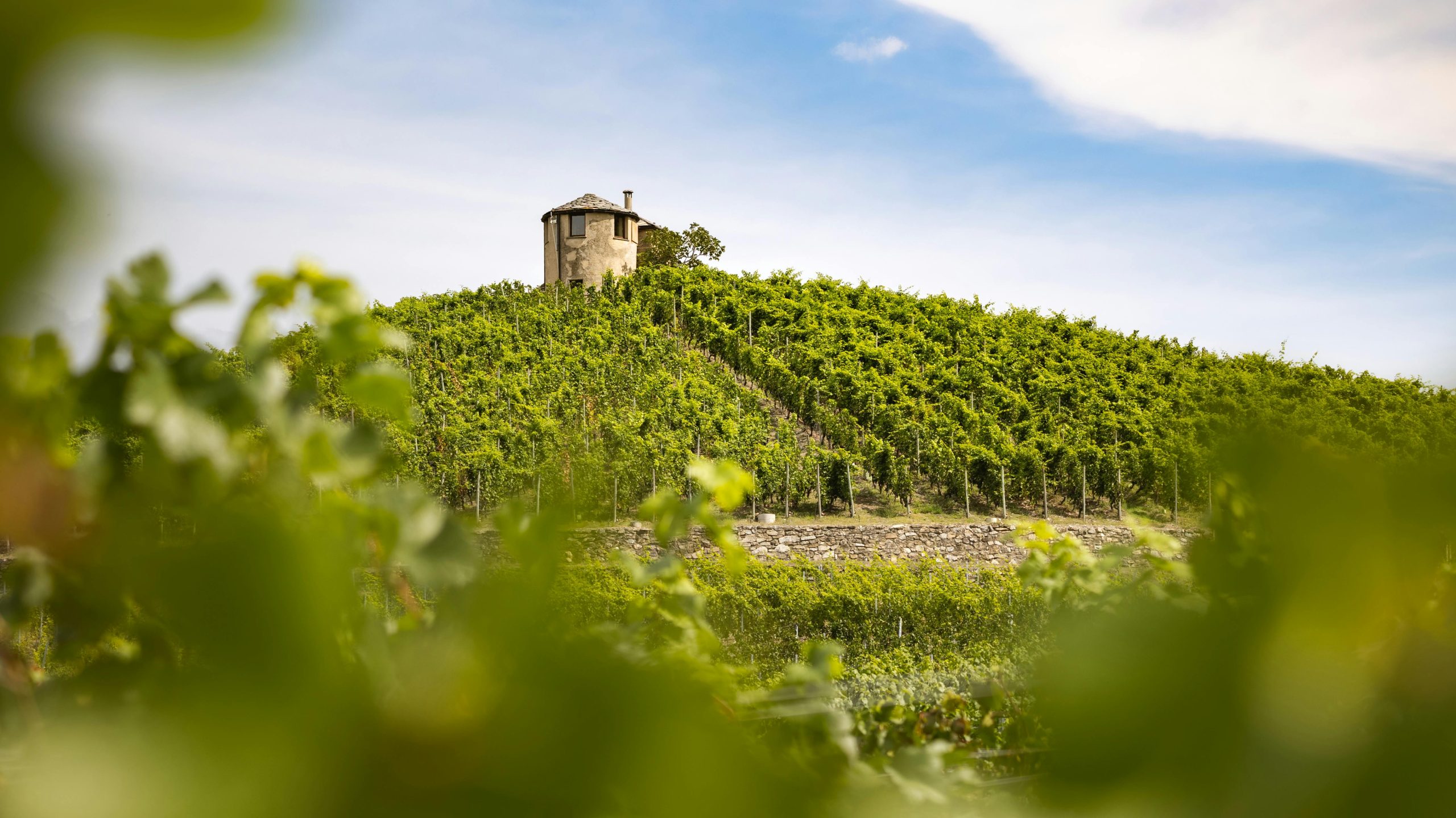 Italian Wine Regions by Letter Count