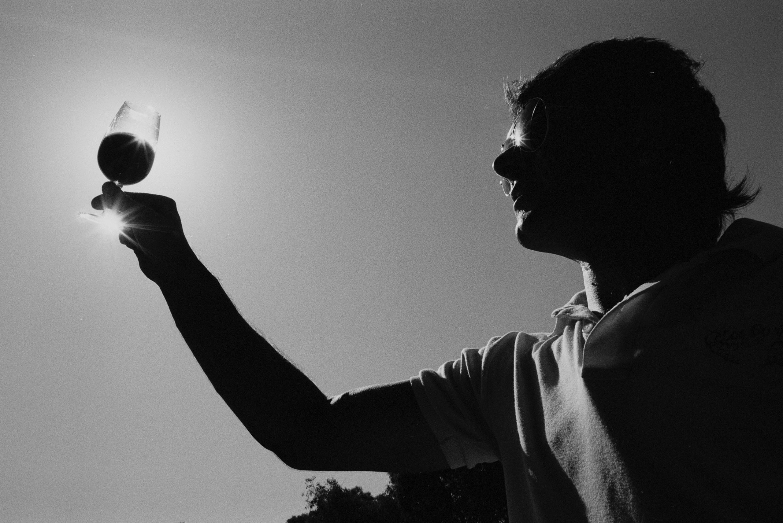 Halliday Wine Companion