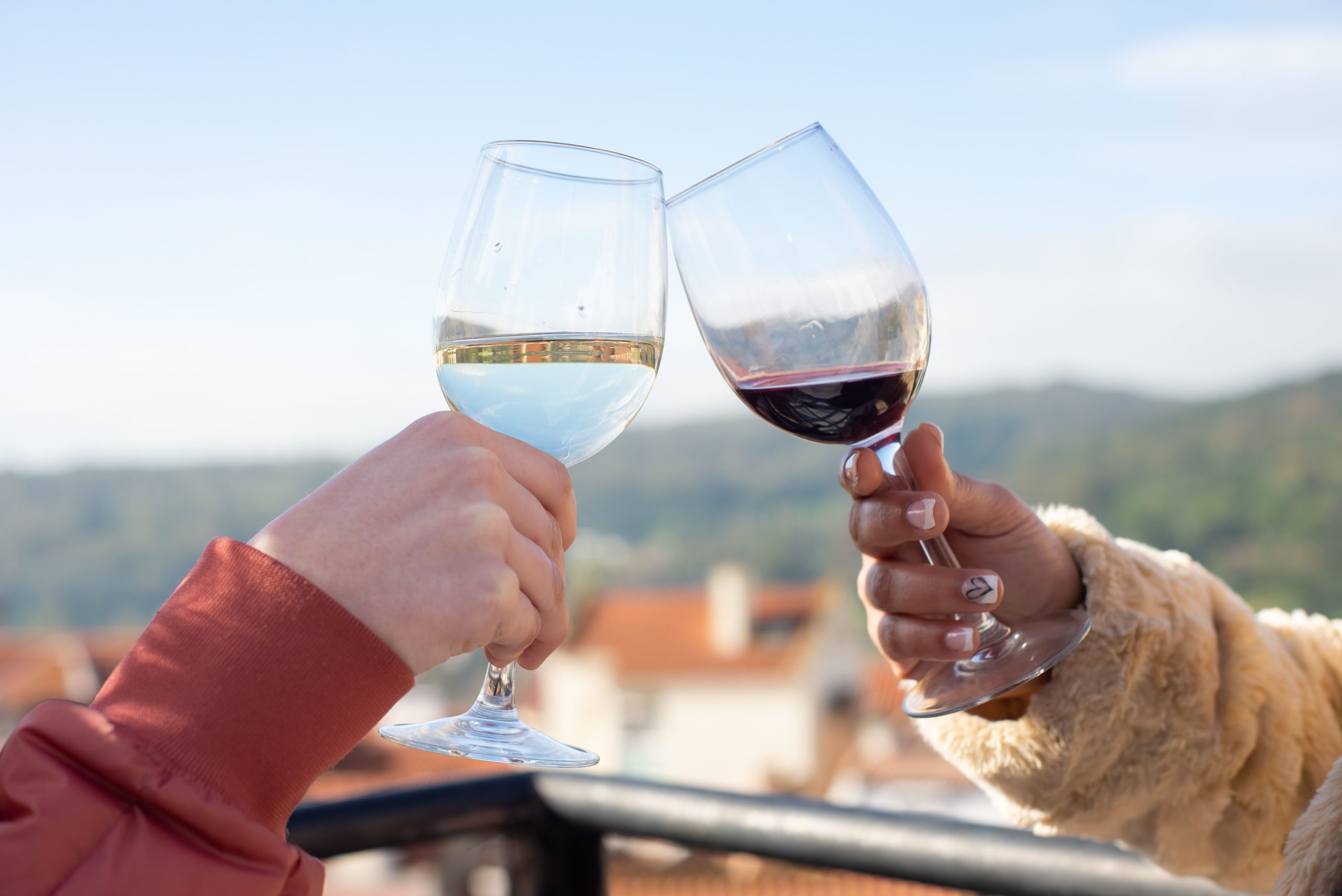 Portugal Hidden Wines